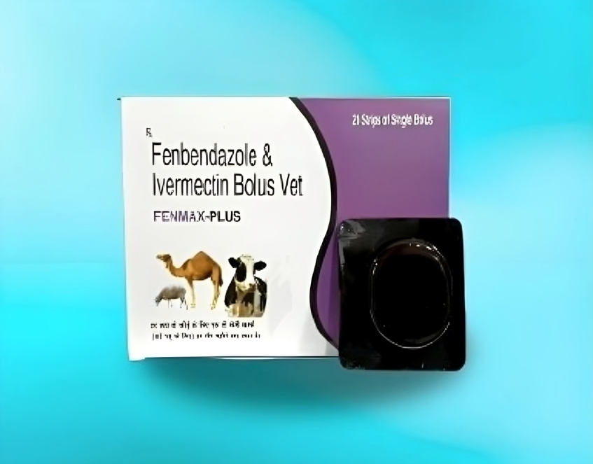 FENMAX PLUS BOLUS 